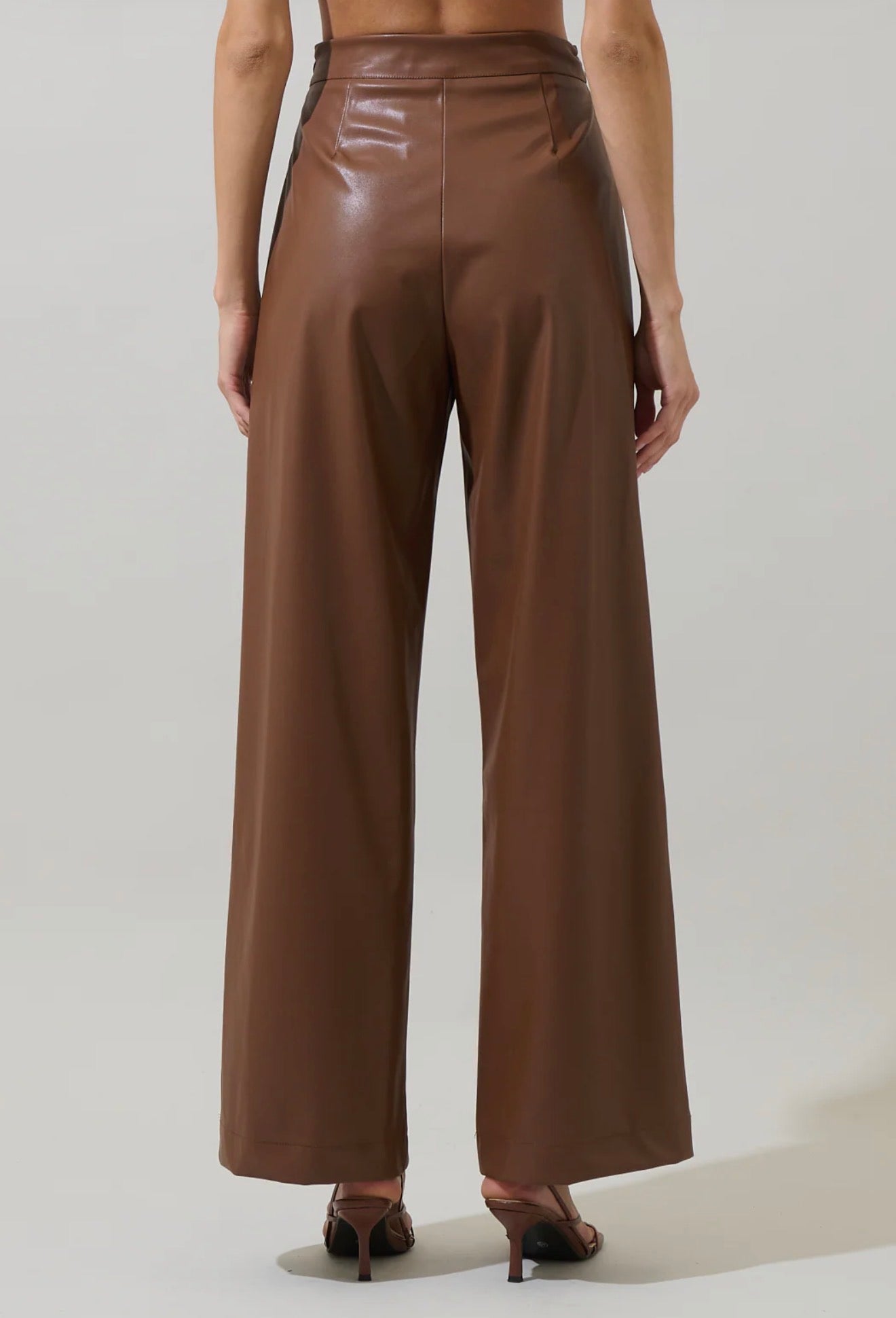 Anisa Leather Bern Wide Leg Pants