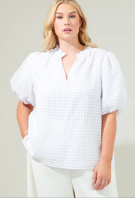 Gretna Organza Check Ruffle Blouse Curve