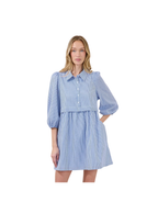 Jurane Striped Long Sleeve Mini Dress