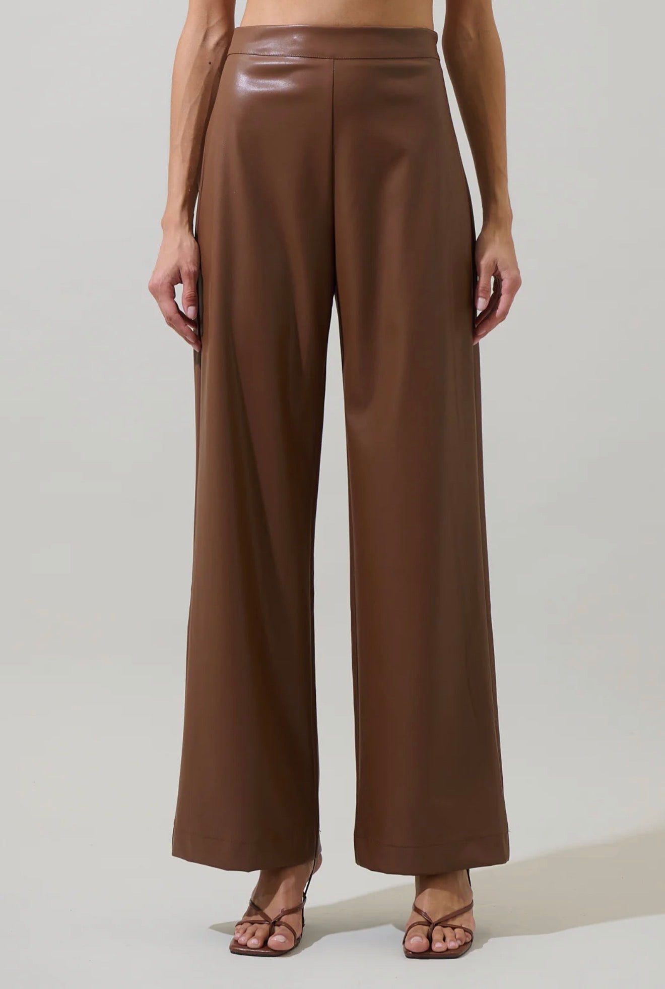 Anisa Leather Bern Wide Leg Pants