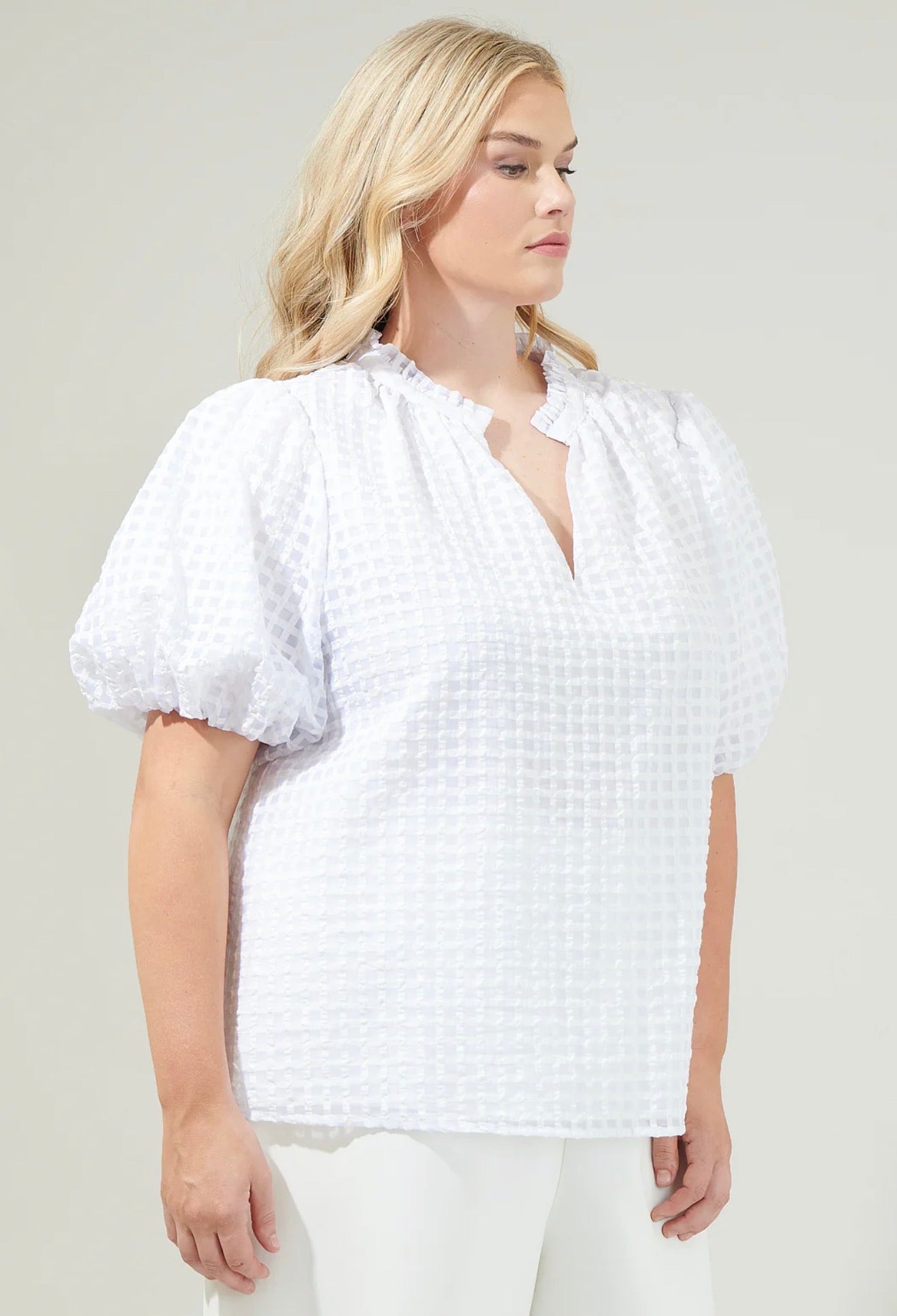 Gretna Organza Check Ruffle Blouse Curve