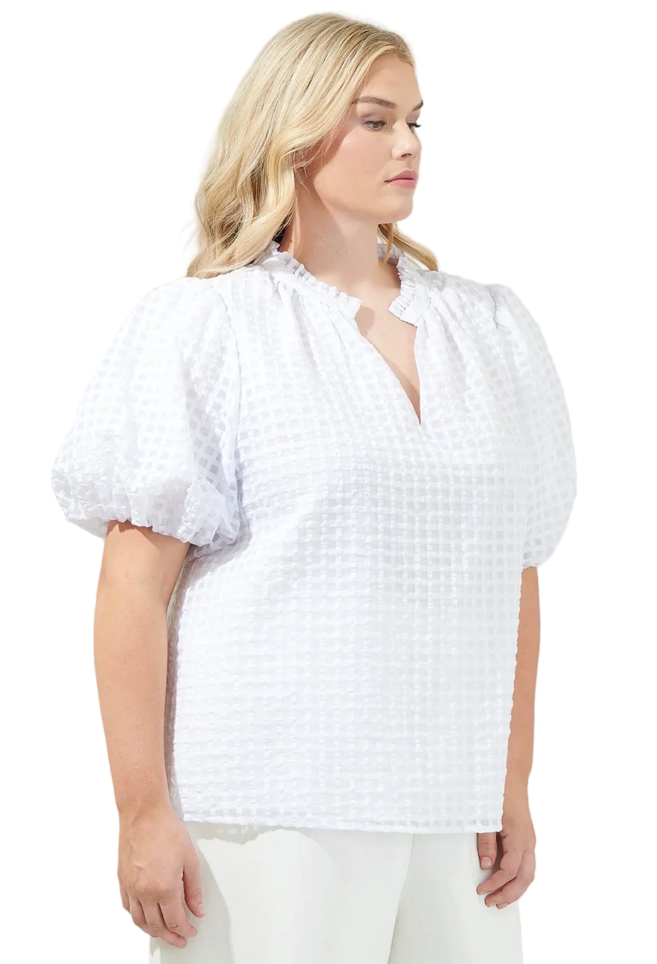 Gretna Organza Check Ruffle Blouse Curve