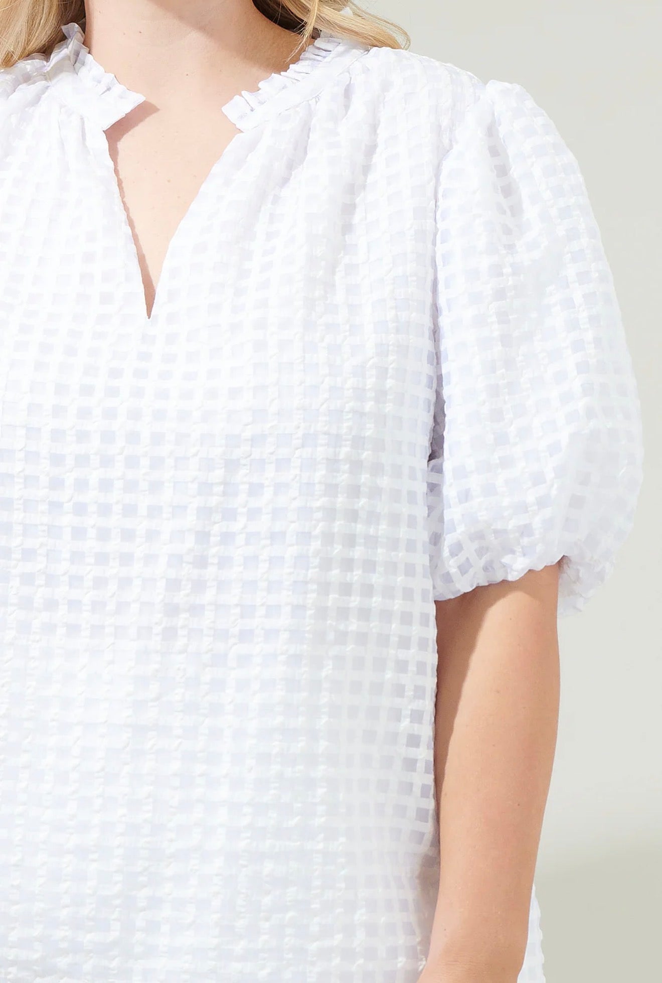 Gretna Organza Check Ruffle Blouse Curve